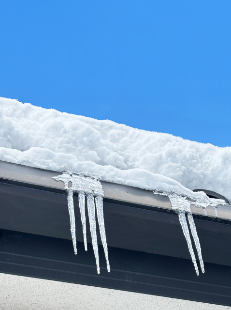 雪が積もった屋根
